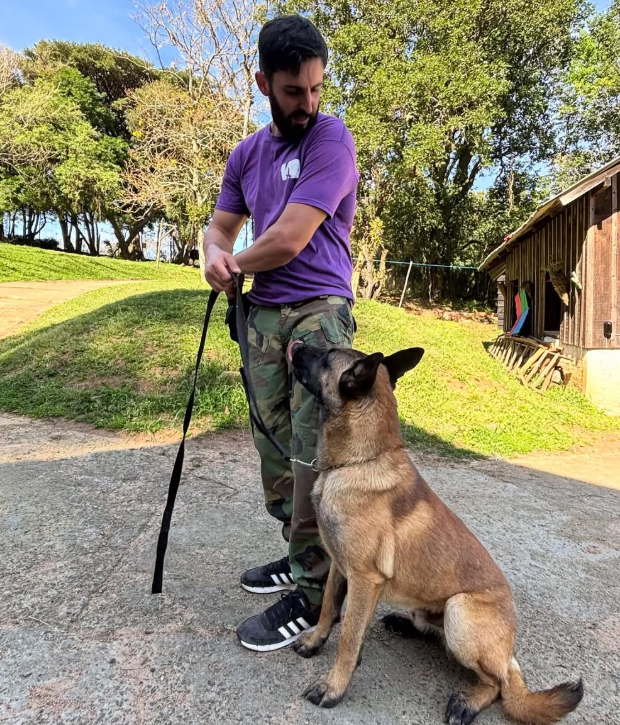 dog.png